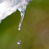 雨水