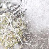 大雪