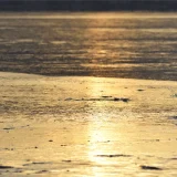 水泉動 しみずあたたかをふくむ