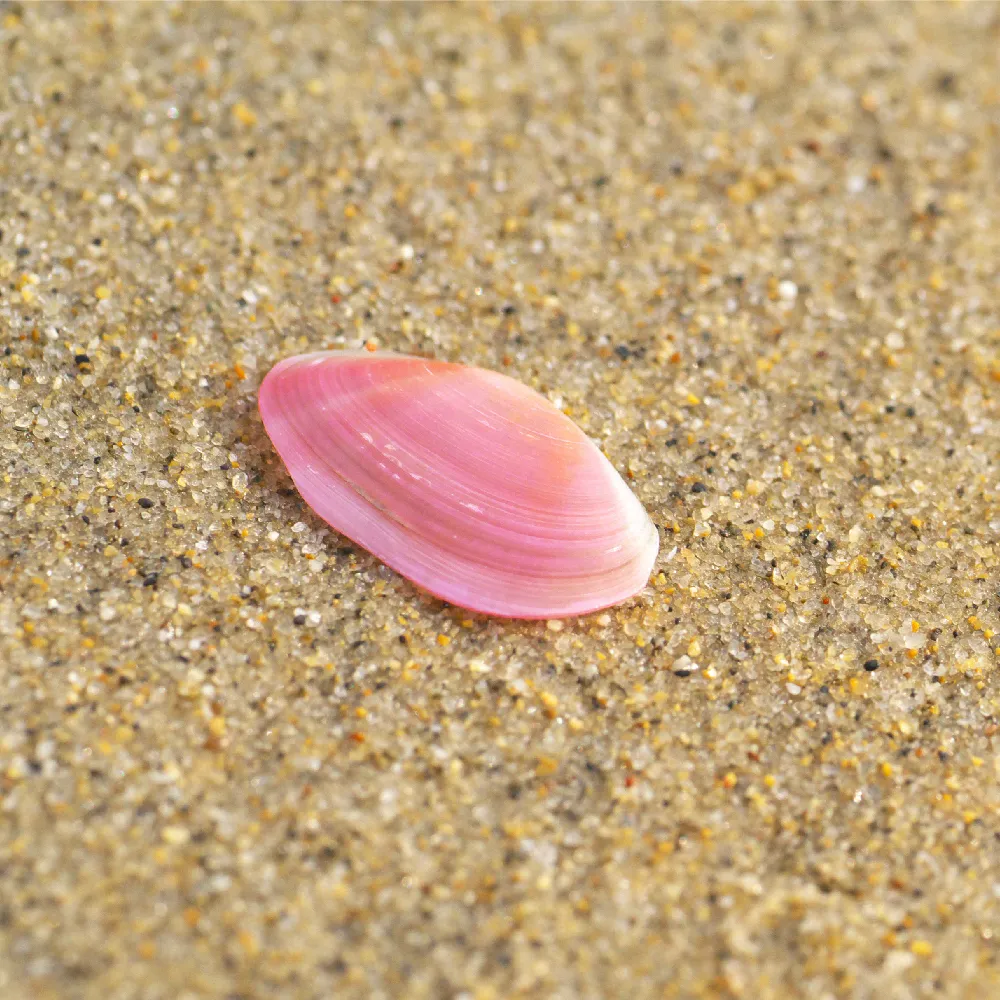 main_220329.webp main_220329.webp