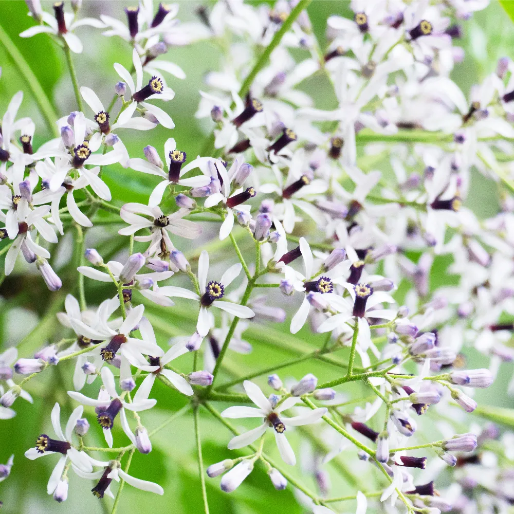 main_220510.webp main_220510.webp