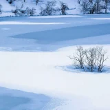 七十二候／水沢腹堅 さわみずこおりつめる