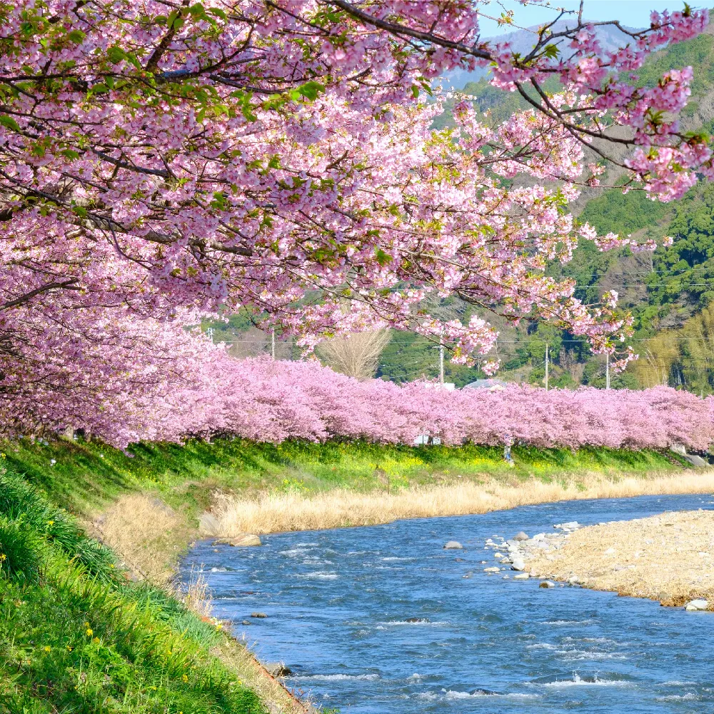 main_230208.webp