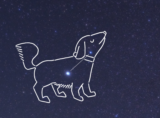 こいぬ座（20時南中）｜宙のコラム｜暦生活 | 日本の季節を楽しむ暮らし