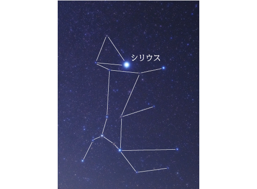 おおいぬ座
