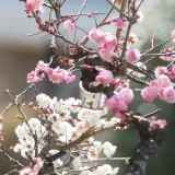 和暦コラム 2月