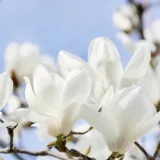 和暦コラム 4月
