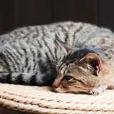 和暦コラム 5月