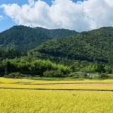 和暦コラム 8月