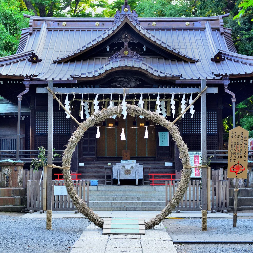 main_240630.webp