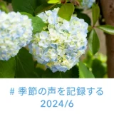 2024年6月 #季節の声を記録する