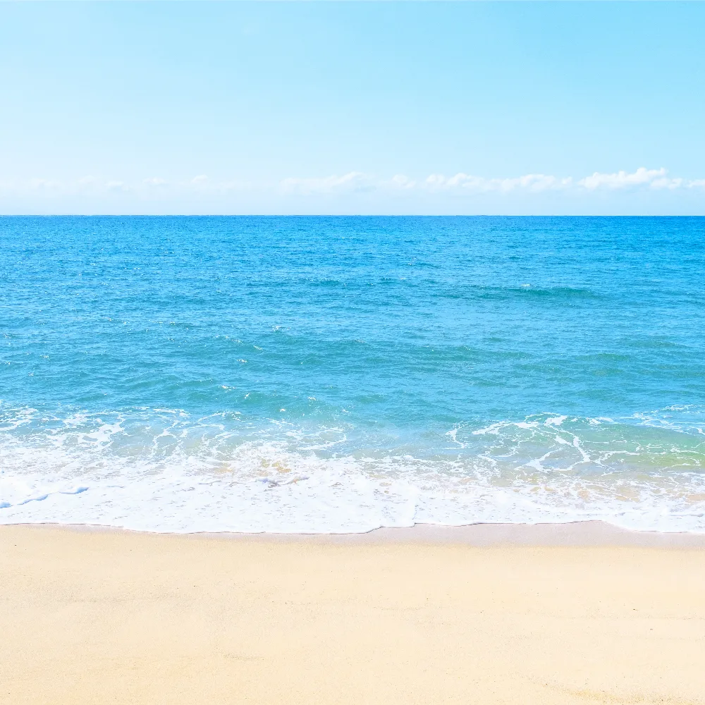 海水浴｜旬のもの｜暦生活 | 日本の季節を楽しむ暮らし