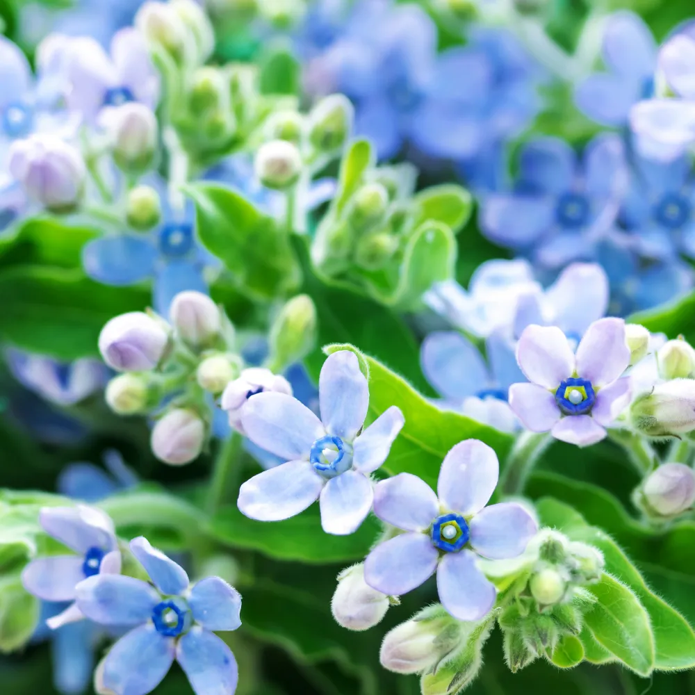 main_250627.webp