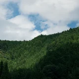 雨乞い