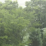 七十二候／大雨時行