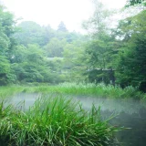 七十二候／蒙霧升降