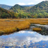 七十二候／水始涸