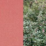 日本の色／萩色