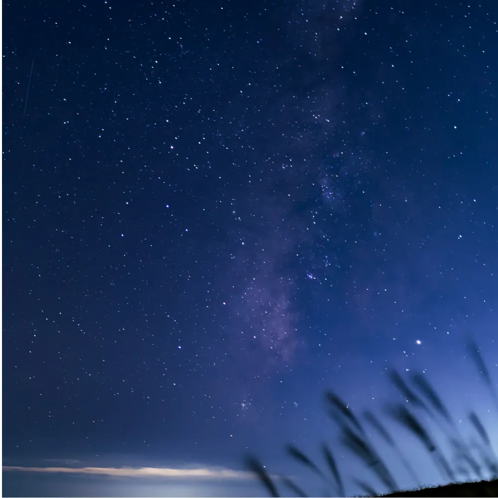 星月夜｜月と星｜暦生活 | 日本の季節を楽しむ暮らし
