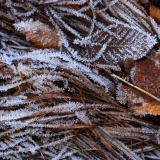 七十二候／地始凍