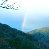 七十二候／虹蔵不見