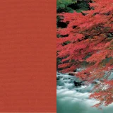 日本の色／紅葉色