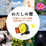 わたしの暦 今年撮った「暦」の瞬間、写真で教えてください