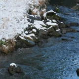 七十二候／魚上氷