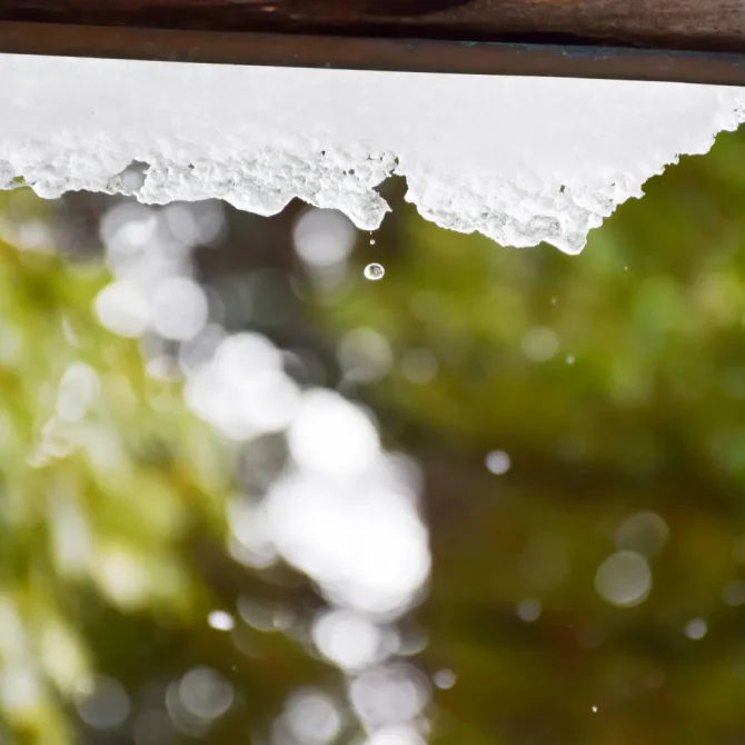 二十四節気の味わい暦｜雨水｜二十四節気と七十二候｜暦生活 | 日本の