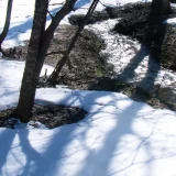 七十二候／土脉潤起