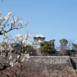 梅見と花の名前