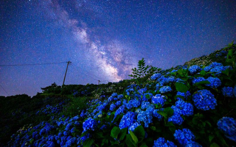 宇宙の果て｜月と星｜暦生活 | 日本の季節を楽しむ暮らし
