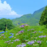 梅雨の中休み