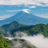 五月富士