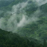 七十二候／蒙霧升降