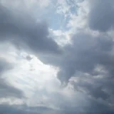 七十二候／玄鳥去