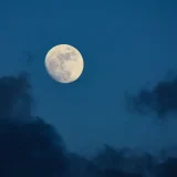 後の月見