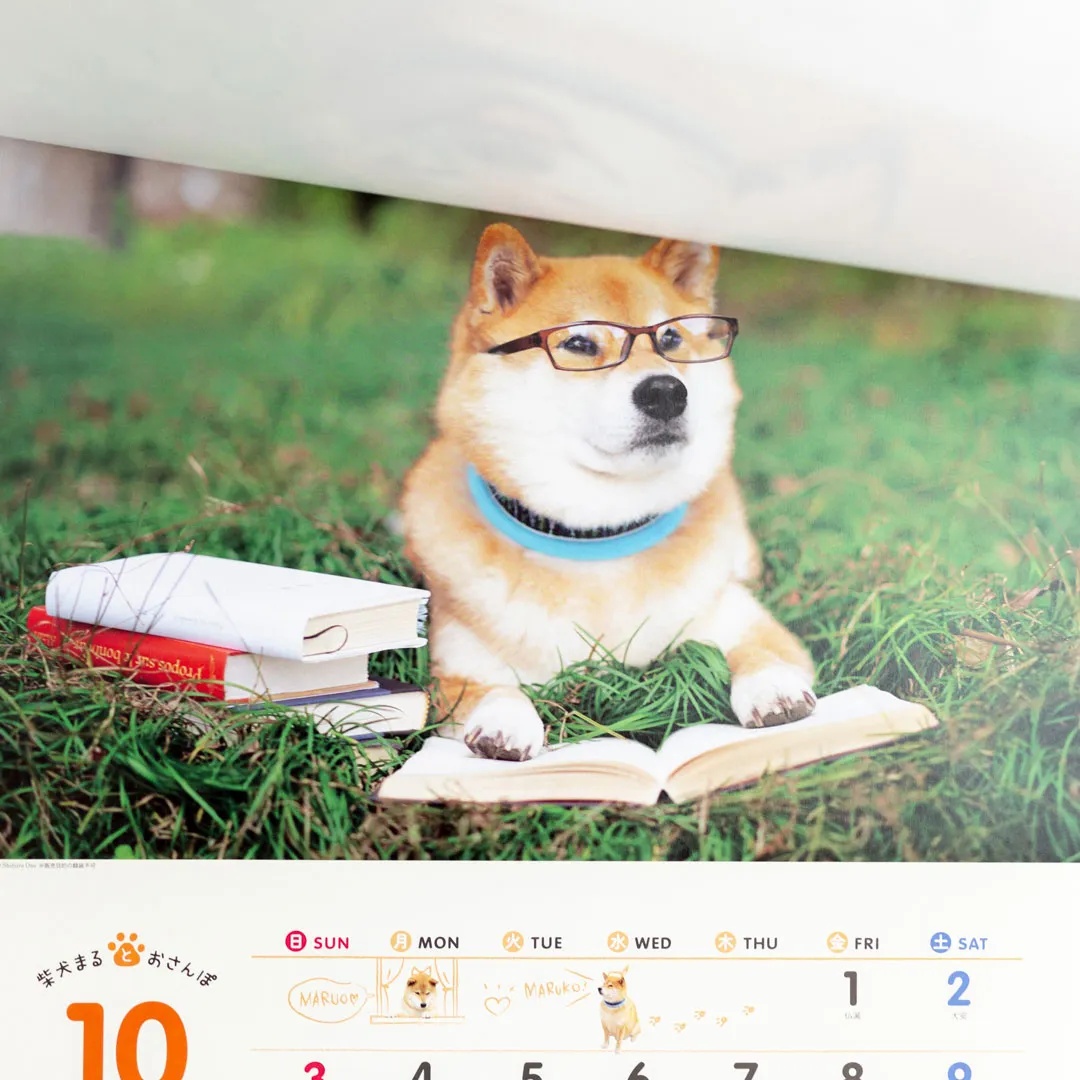 【2027年】柴犬まる 壁掛け 小