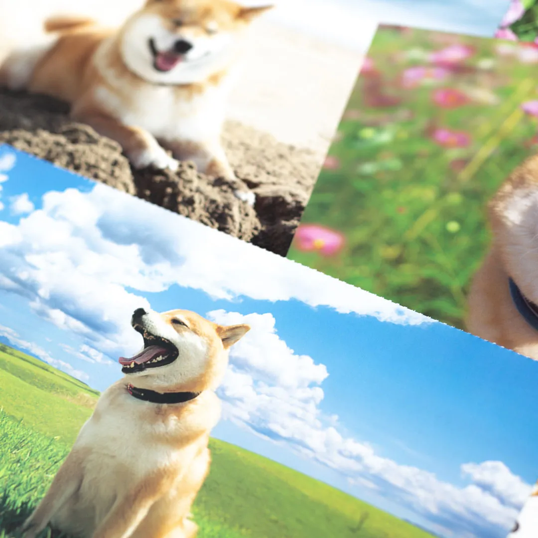 【2027年】柴犬まる 壁掛け 小