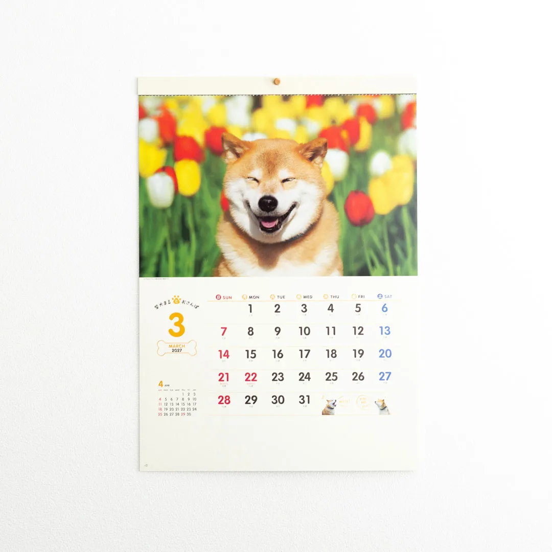 【2027年】柴犬まる 壁掛け 小