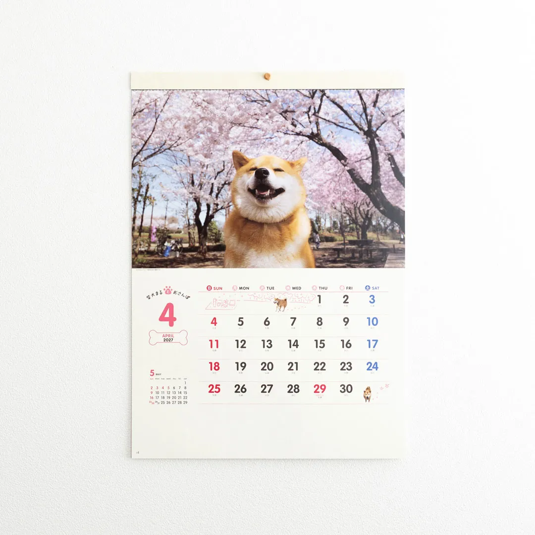 【2027年】柴犬まる 壁掛け 小