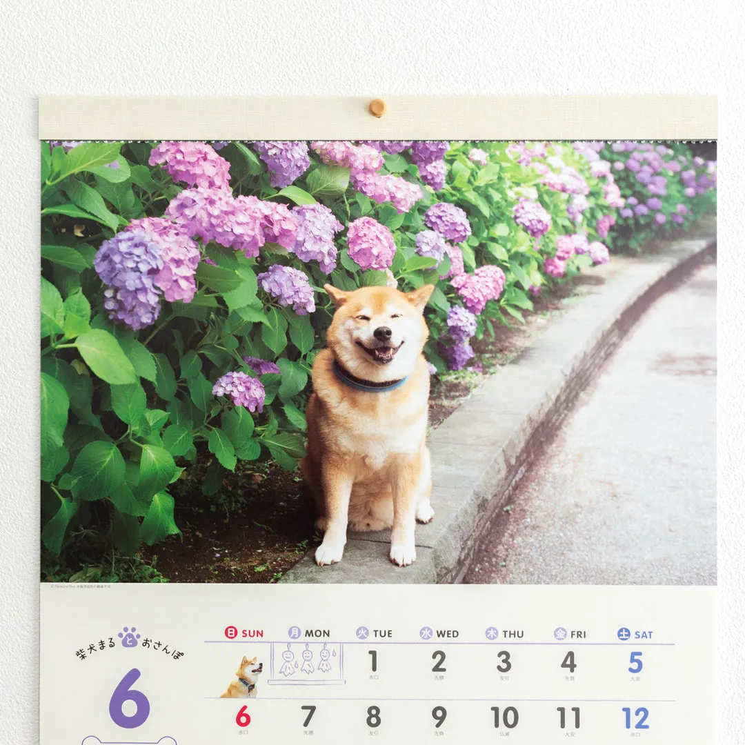 【2027年】柴犬まる 壁掛け 小