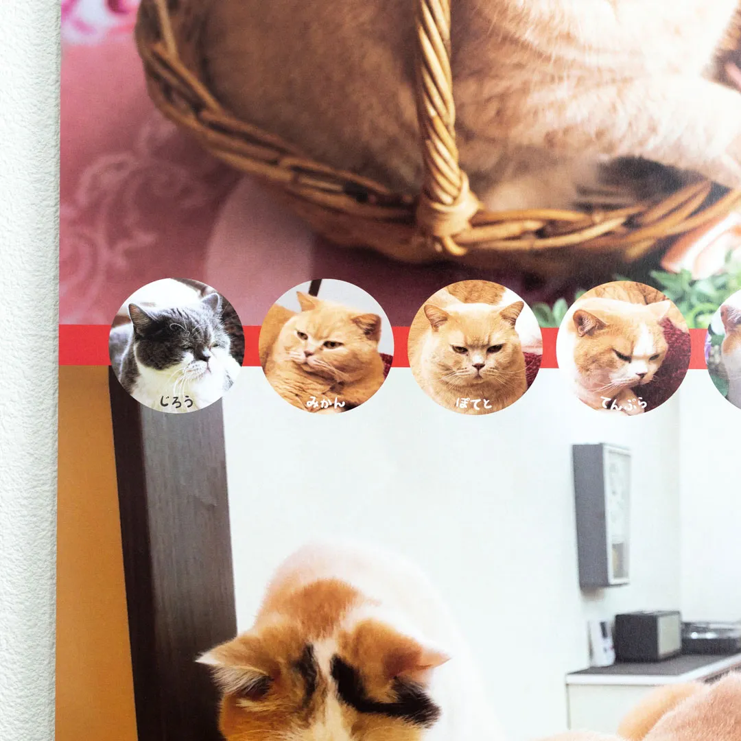 【2027年】ねこと生活 みかんとじろうさんち 壁掛け