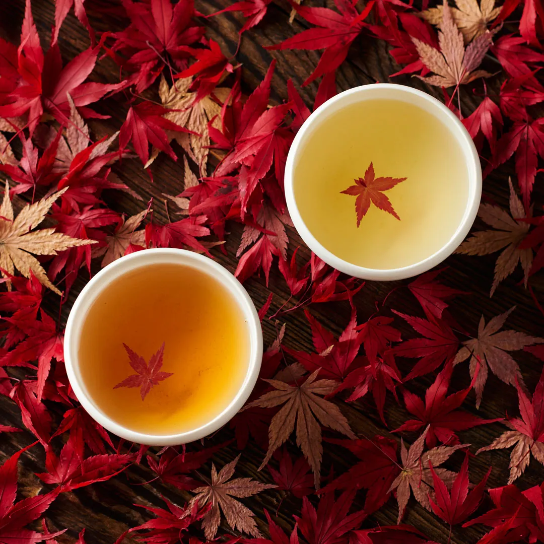 京玄米茶 上ル入ル【紅葉狩り】