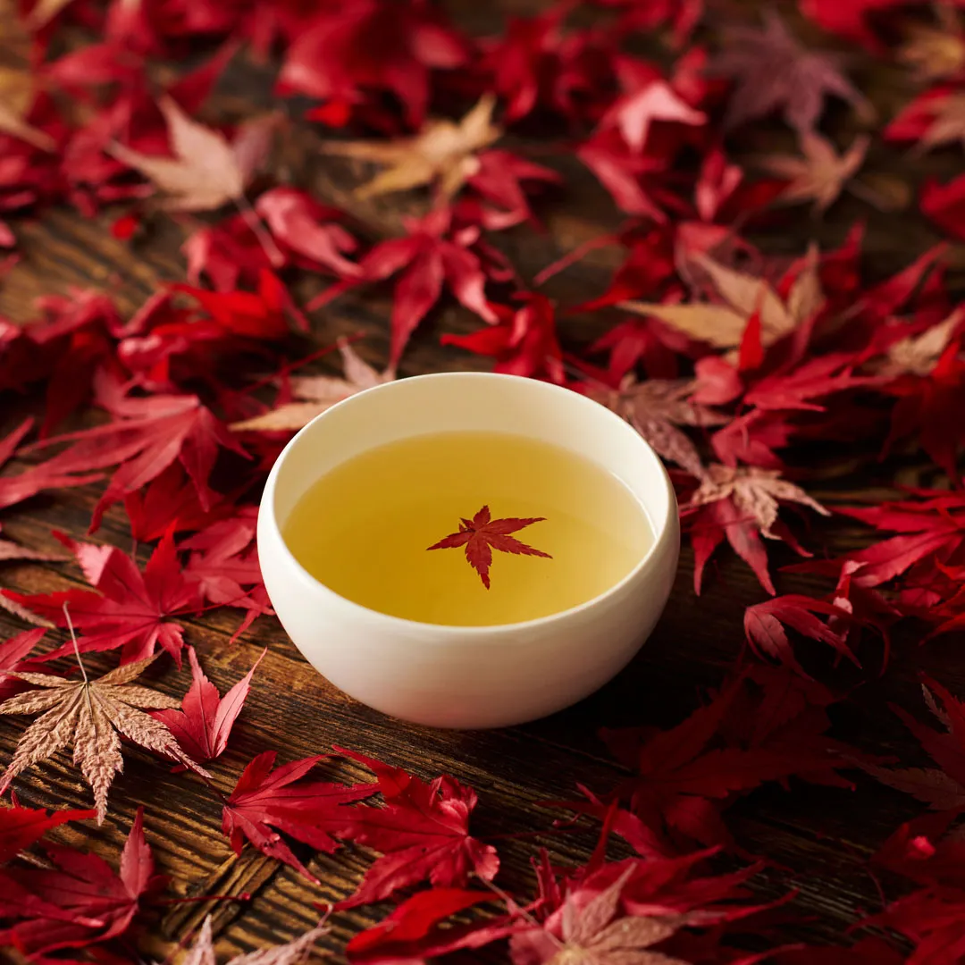 京玄米茶 上ル入ル【紅葉狩り】