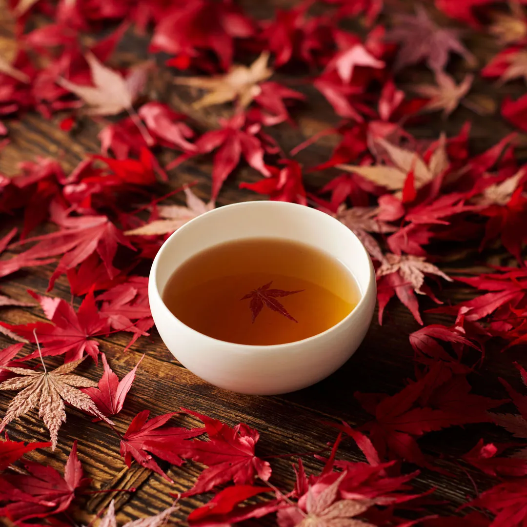 京玄米茶 上ル入ル【紅葉狩り】