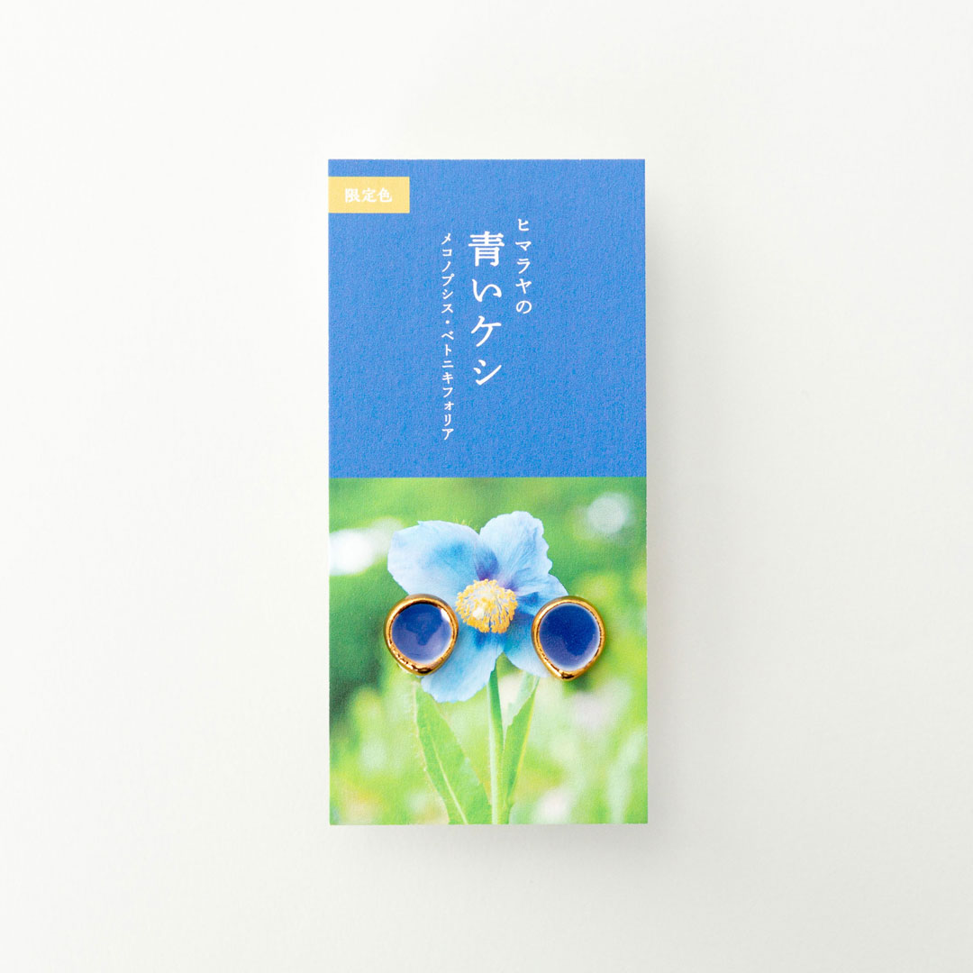 13 青いケシ