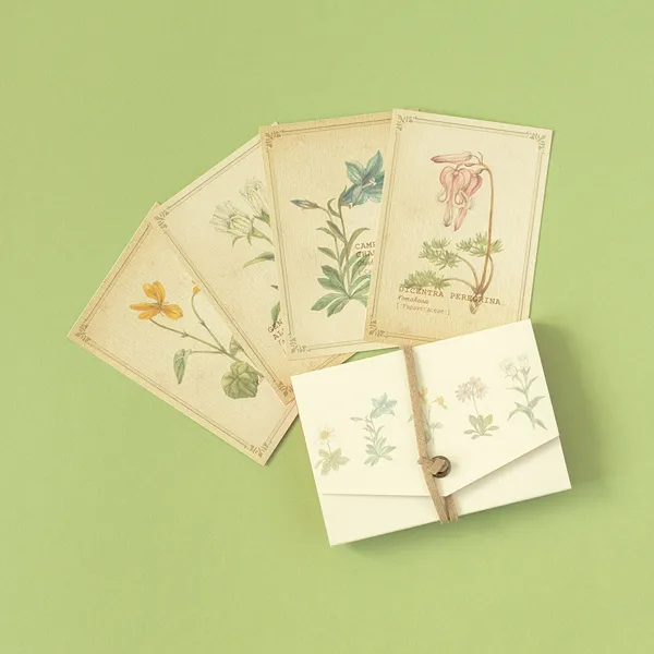 高山植物の図鑑風メッセージカード