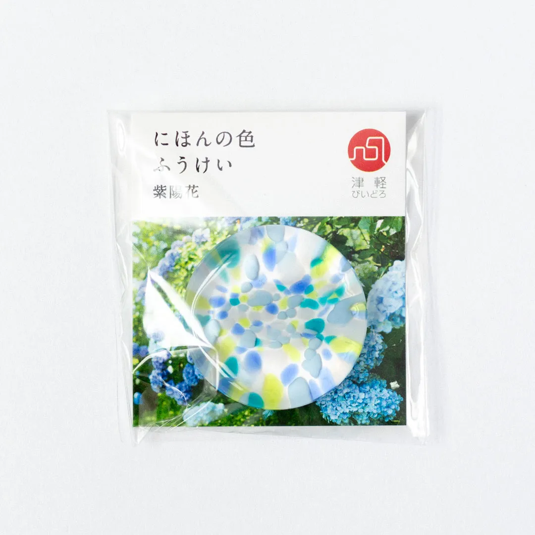 紫陽花