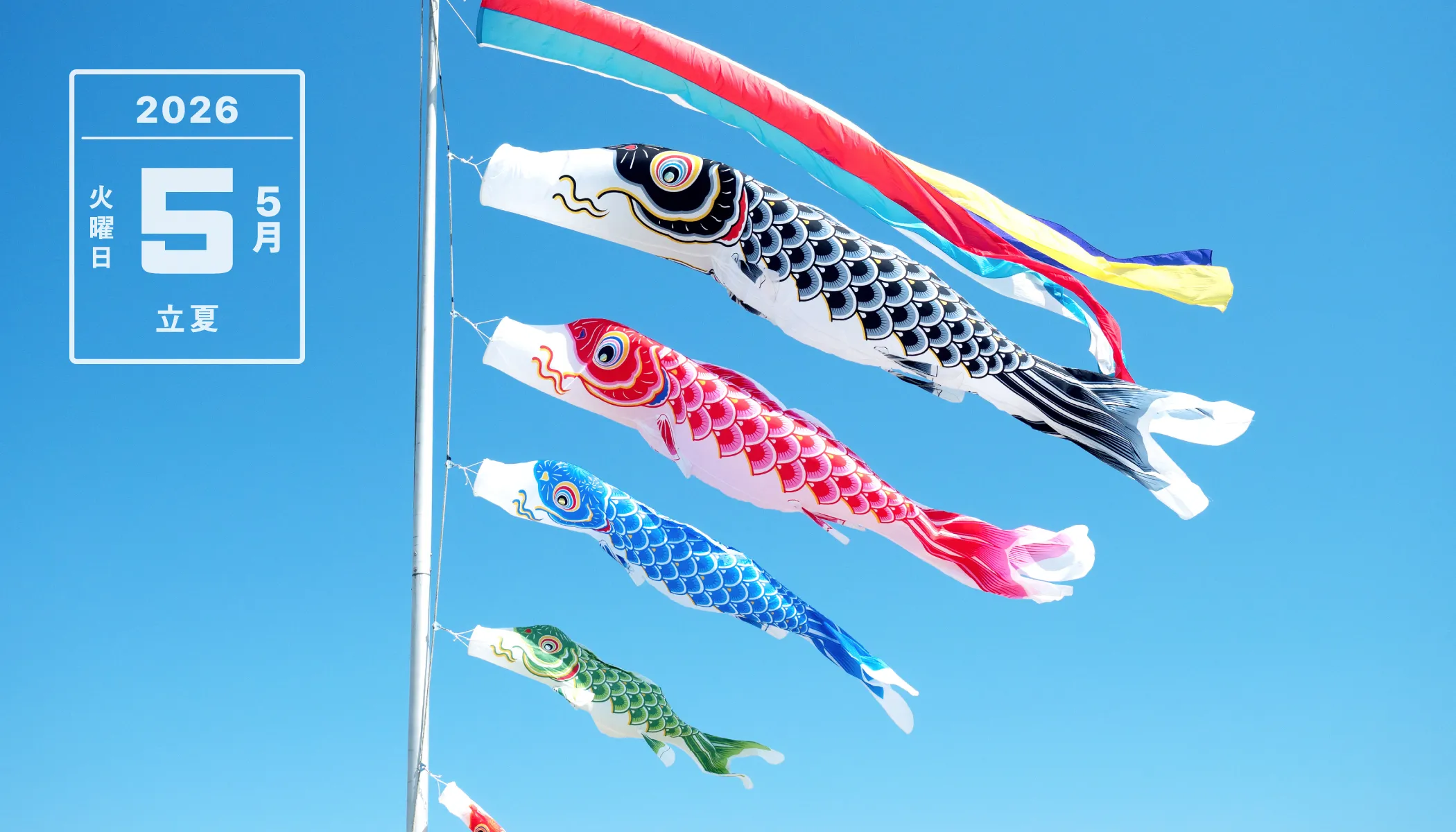今日の読み物